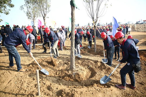河北省第二屆 秦皇島 園林博覽會(huì)園林綠化工程開工