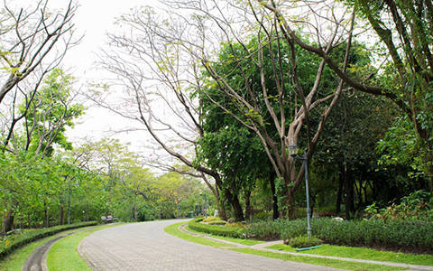 園林綠化工程公司注冊需要哪些程序