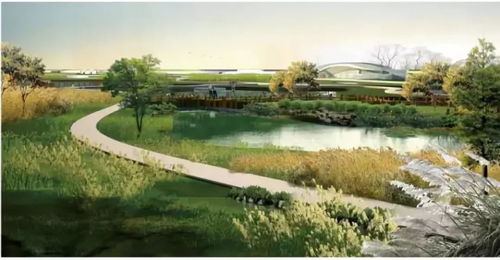 園林綠化工程質(zhì)量關(guān)如何把控