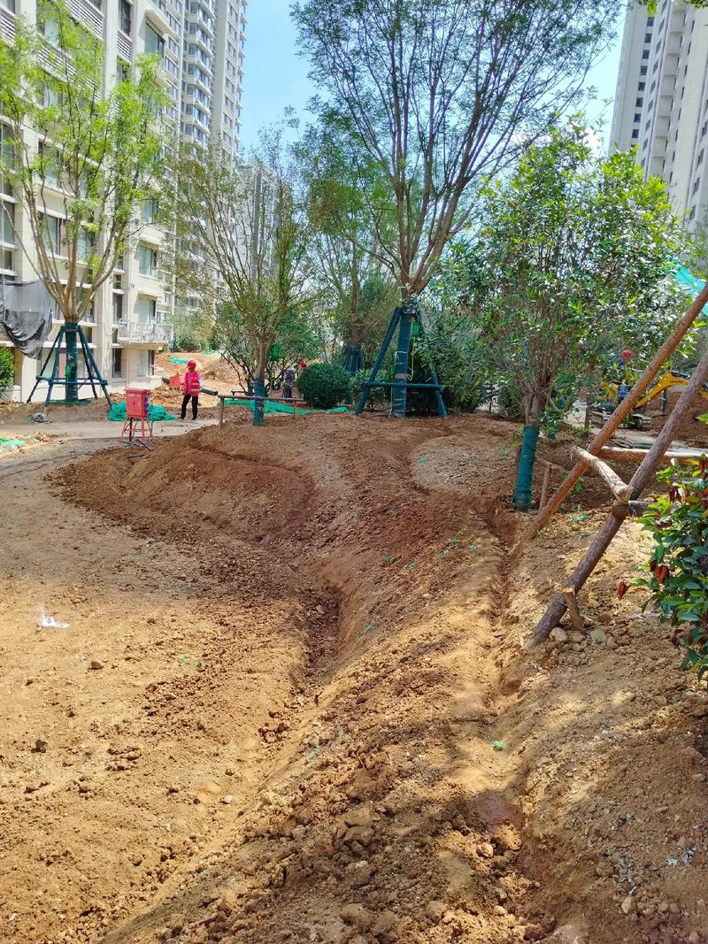 園林綠化工程 #施工現(xiàn)場實(shí)拍