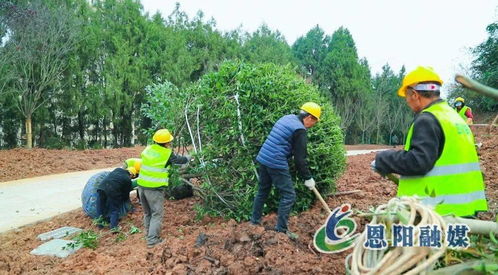 假期不停工，大梁山城市公園建設(shè)加速推進(jìn)體育場地設(shè)施工程