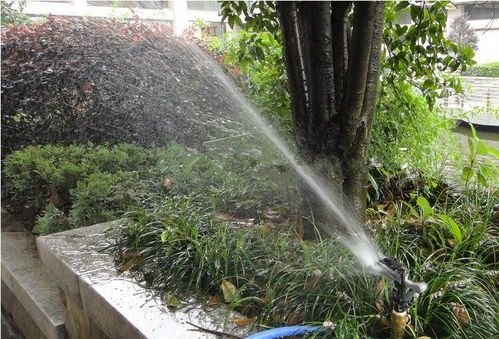 昆明考綠化工證及體育場地設施工程施工指南 難度、費用與準入解析